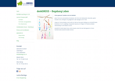 Website von denkGROSS 