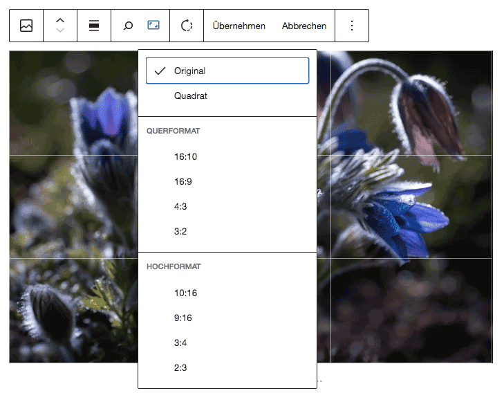 WordPress-Bildbearbeitung im Bild-Block